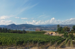 Serendipity Winery, also located on the Naramata Bench, was one of the prettiest vineyards I visited.